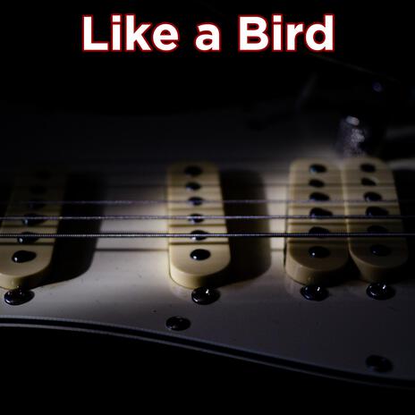 Like A Bird | Boomplay Music