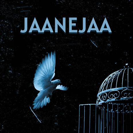 JAANEJAA (Instrumental) | Boomplay Music