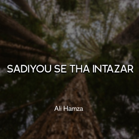 Sadiyou Se Tha Intazar | Boomplay Music