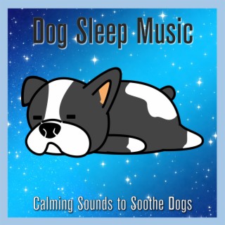 Dog Sleep Music: Calming Sounds to Soothe Dogs