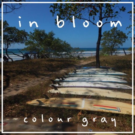 In Bloom | Boomplay Music