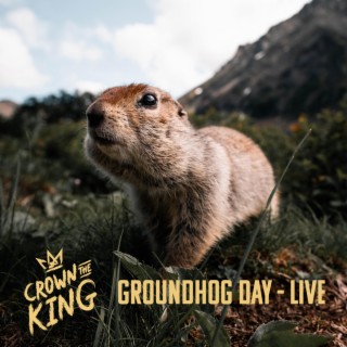 Groundhog Day (Live) lyrics | Boomplay Music