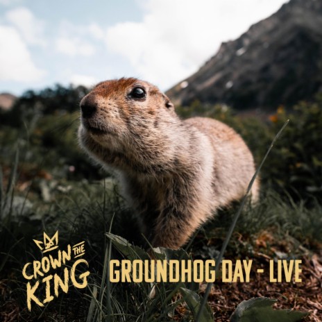 Groundhog Day (Live) | Boomplay Music