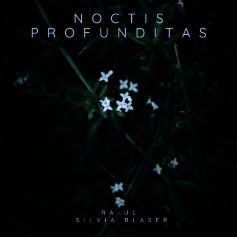 Noctis Profunditas ft. Silvia Blaser & Pax Natura | Boomplay Music