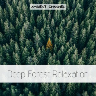 Deep Forest Relaxation