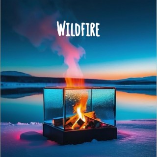 Wildfire lyrics | Boomplay Music