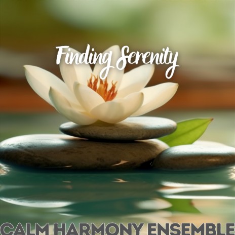 Finding Serenity (Forest) | Boomplay Music