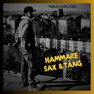 Hammare sax och tång 2.0