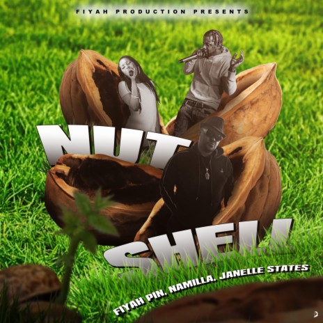 Nut Shell ft. Namilla & Janelle States