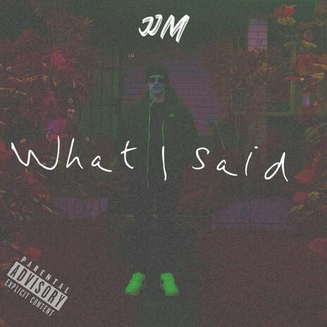 What I said | Boomplay Music