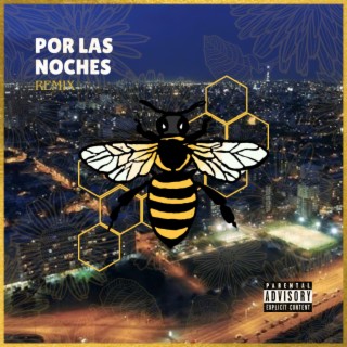 Por Las Noches (Remix)