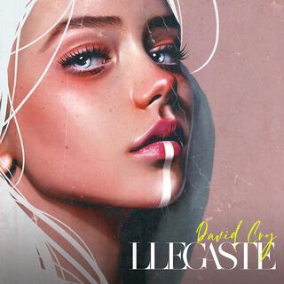 Llegaste lyrics | Boomplay Music