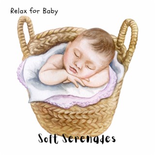 Soft Serenades: Gentle Ambient Tunes for Babies