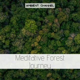 Meditative Forest Journey