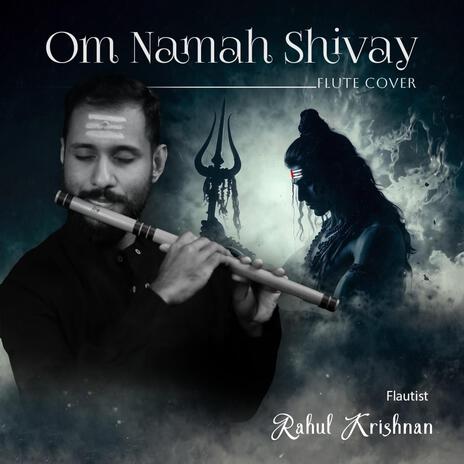 Om Namah Shivay (Flute Version) | Boomplay Music