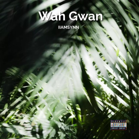 Wah Gwan | Boomplay Music