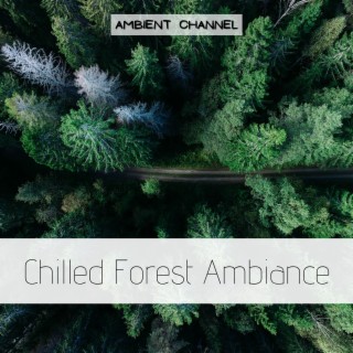 Chilled Forest Ambiance
