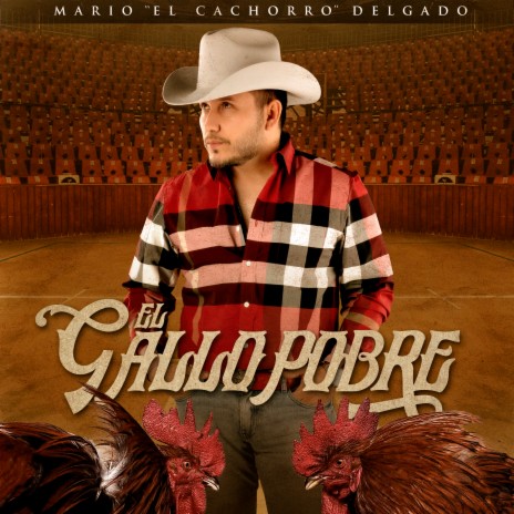 El Gallo Pobre | Boomplay Music