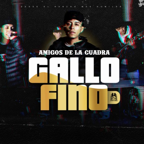 Gallo Fino | Boomplay Music