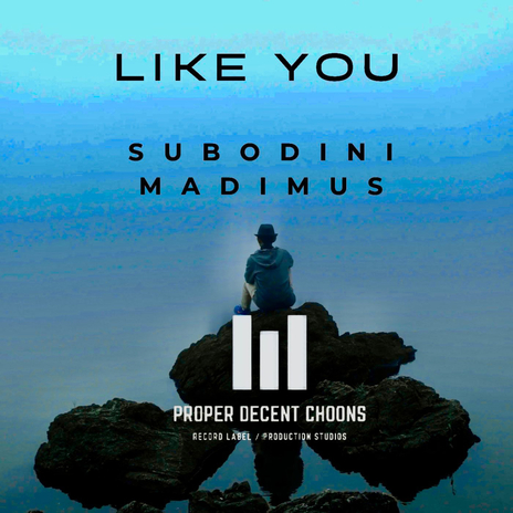 Like You (4x4 Mix) ft. Madimus | Boomplay Music