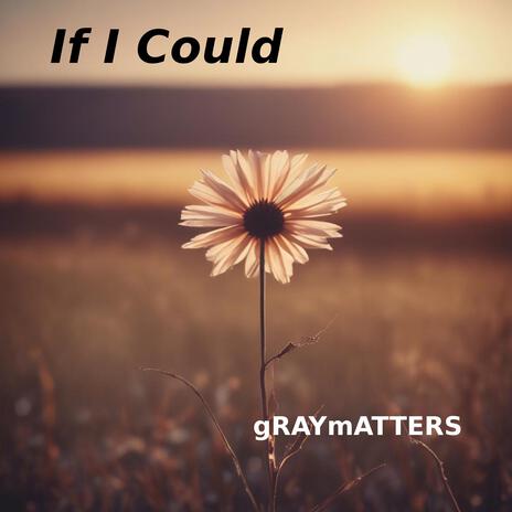 If I Could | Boomplay Music