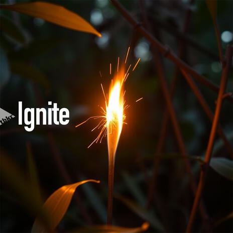 Ignite | Boomplay Music