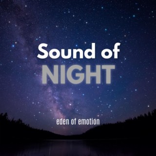 Sound of Night