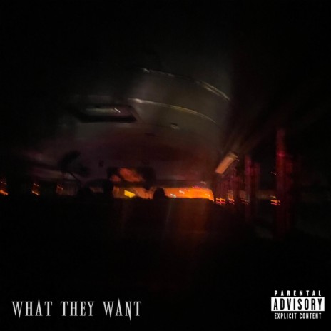 what they want? ft. ohsxnta | Boomplay Music
