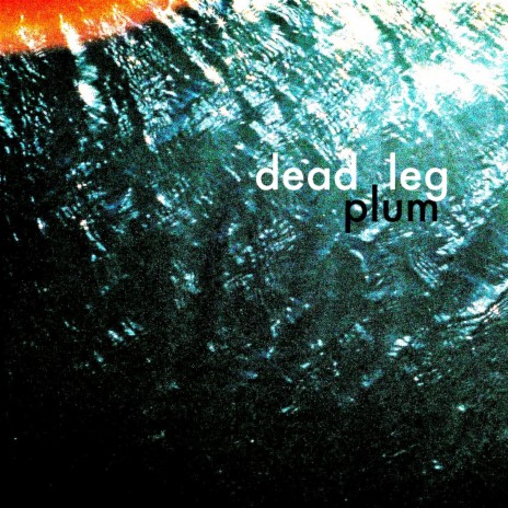 Dead Leg | Boomplay Music