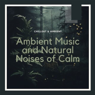 Ambient Music and Natural Noises of Calm
