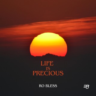 Life Is Precious lyrics | Boomplay Music