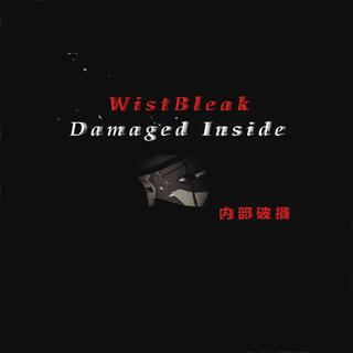 DAMAGED INSIDE