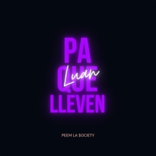 Pa Que Lleven lyrics | Boomplay Music
