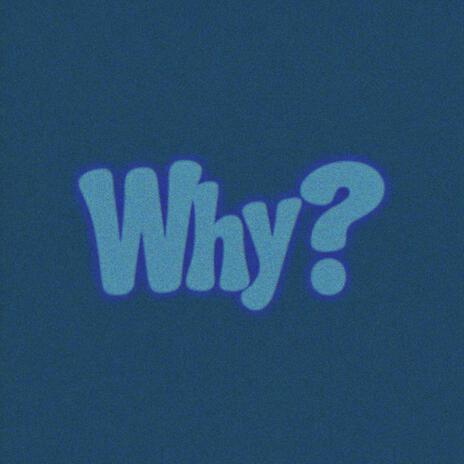 Why? ft. VALLOW | Boomplay Music