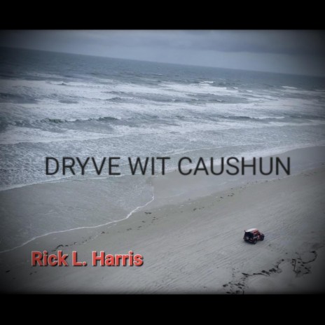 DRYVE WIT CAUSHUN | Boomplay Music