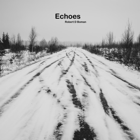 Echoes | Boomplay Music