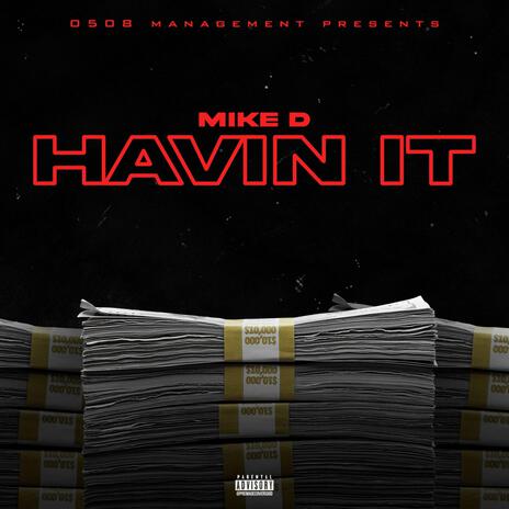 Havin It | Boomplay Music