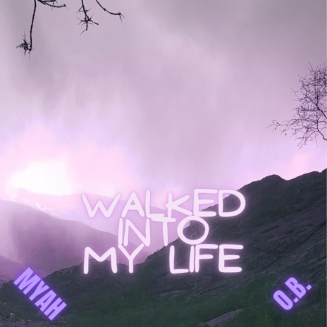 Walked Into My Life | Boomplay Music