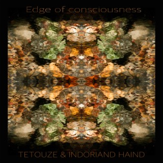Edge of consciousness