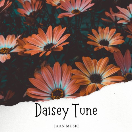 Daisey Tune | Boomplay Music