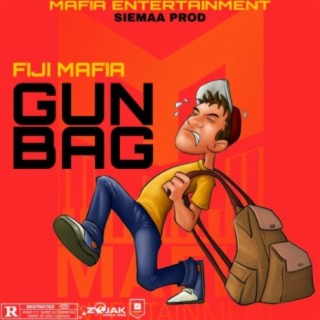 Gun Bag