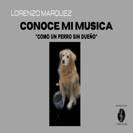 Como un perro sin dueño | Boomplay Music