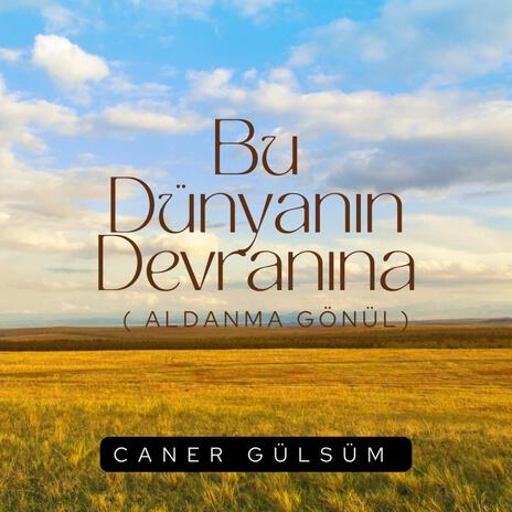 Bu Dünyanın Devranına