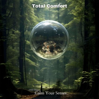 Total Comfort: Soothing Meditation Music to Calm Your Senses