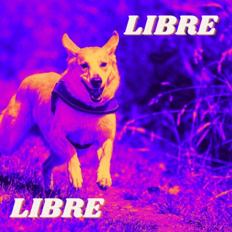 Libre | Boomplay Music