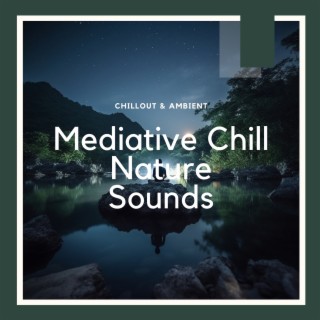 Mediative Chill Nature Sounds