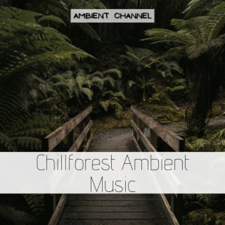 Chillforest Ambient Music