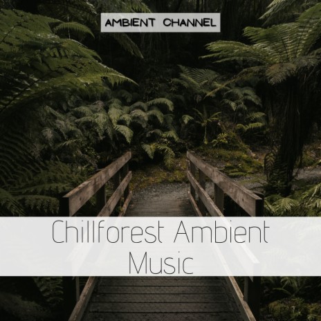 Profound Ambient Sounds for Mindfulness