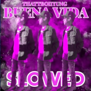 Buena Vida (Slowed) lyrics | Boomplay Music