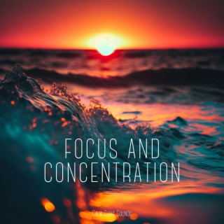 Focus and Concentration: a Musical Journey for Learning